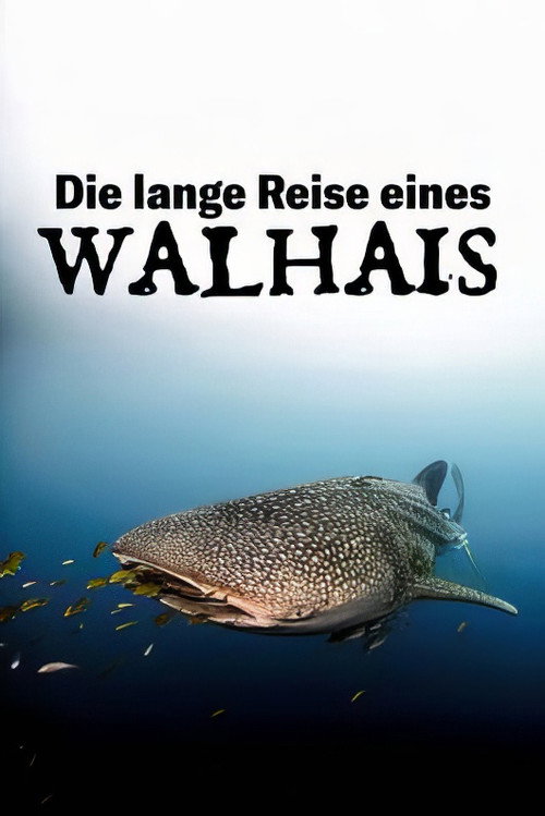 Die lange Reise eines Walhais