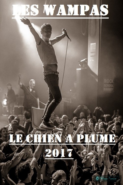 Les Wampas Au Chien A Plumes 2017 movie poster player