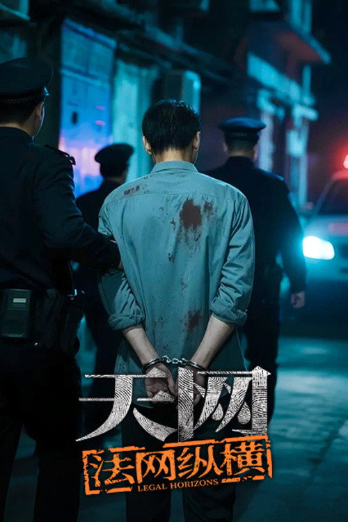 天网 poster