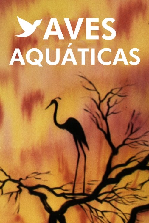 Pôster de Aves Aquáticas