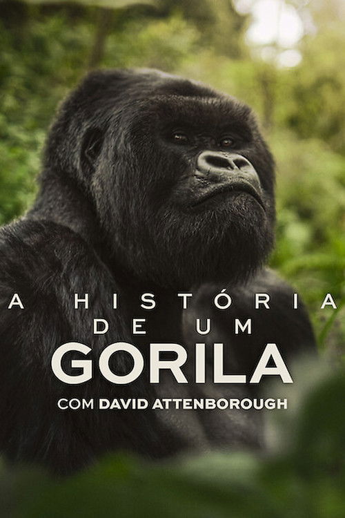 Poster de A História de Um Gorila com David Attenborough