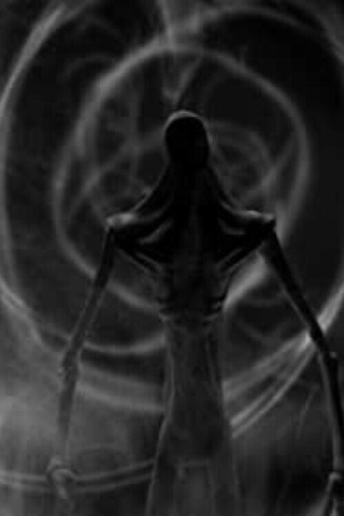 Cómo ver Knocked Loose A Tear in the Fabric of Life (2021) en