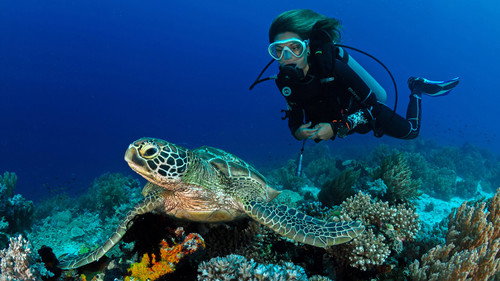 Deep Dive
