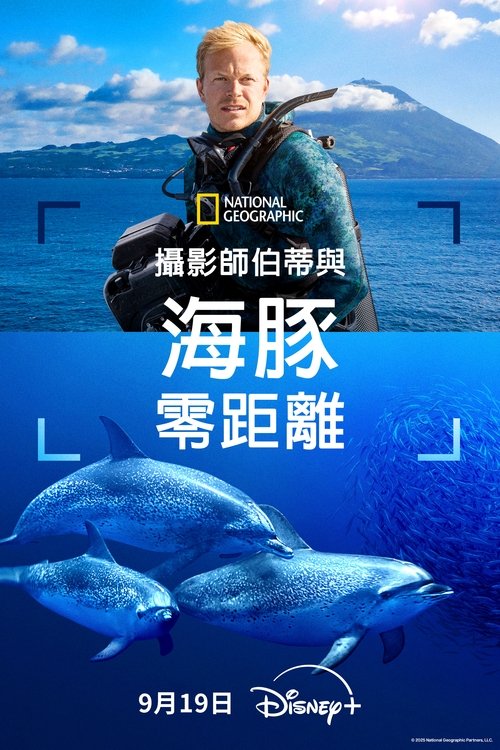 摄影师贝尔蒂与海豚零距离