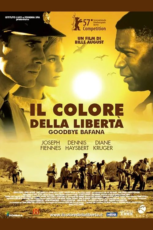 Il colore della libertà