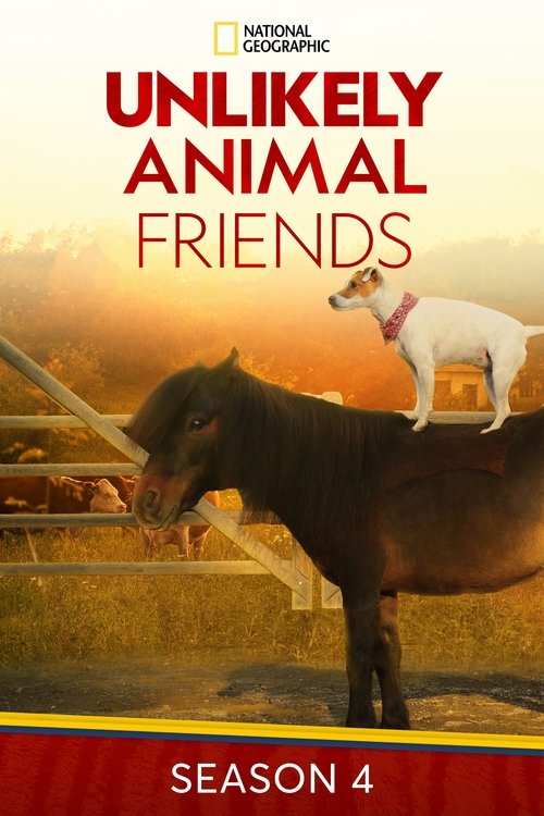 Where to stream Unlikely Animal Friends Season 4