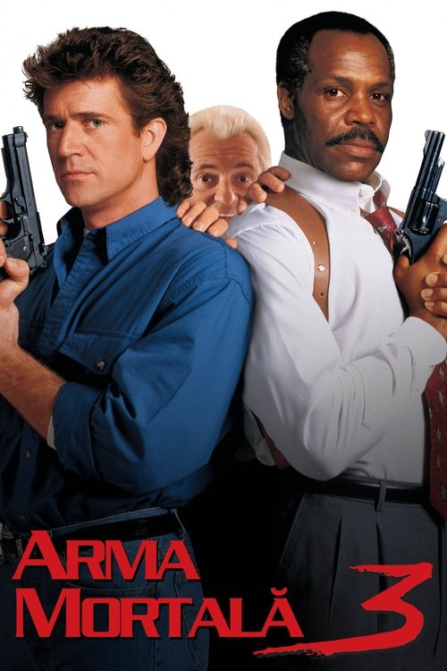 Poster pentru Arma mortală 3
