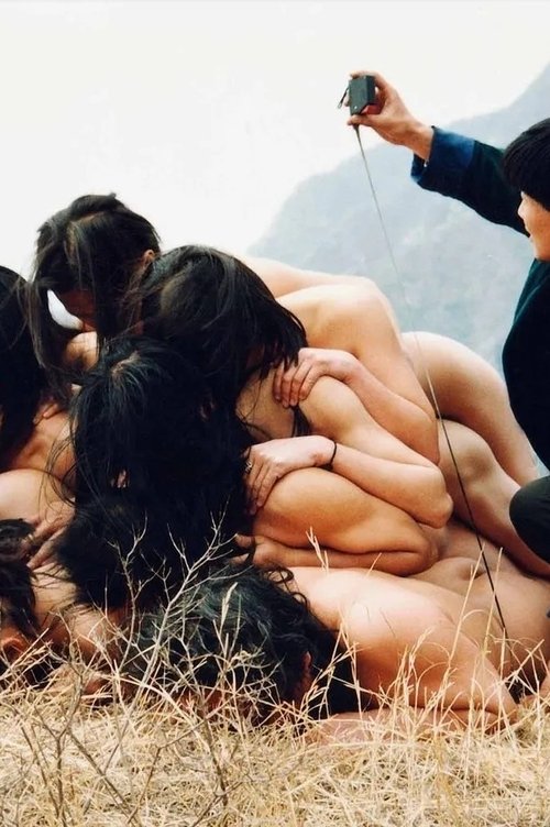 To Add One Metre to an Anonymous Mountain (1995) poster