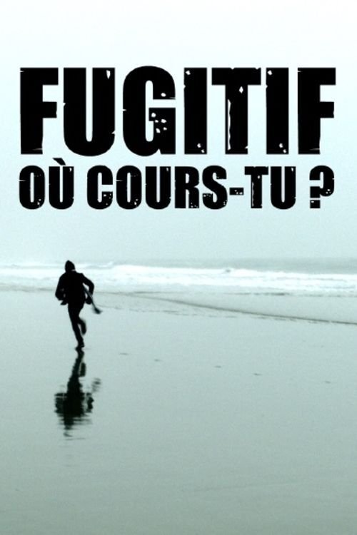 Fugitif, où cours-tu ? (2018) poster