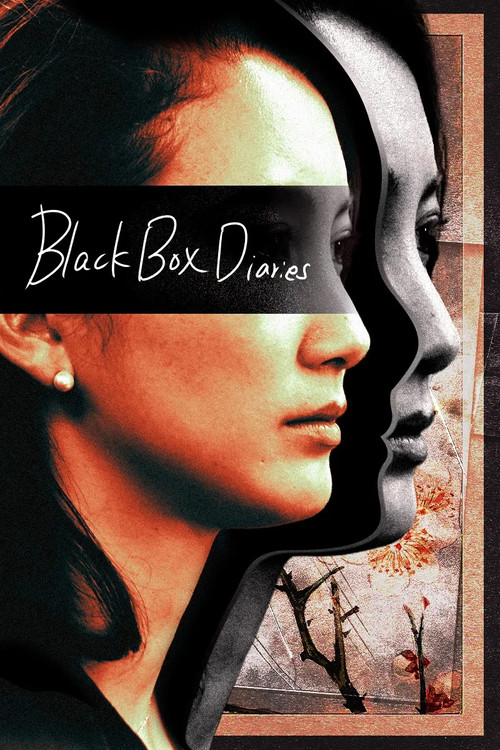 Black Box Diaries poster