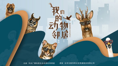 我们的动物邻居 — Backdrops 2