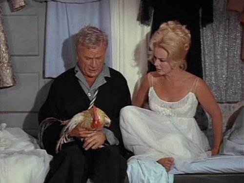 Green Acres, S01E05 - (1965)