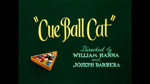 Cue Ball Cat