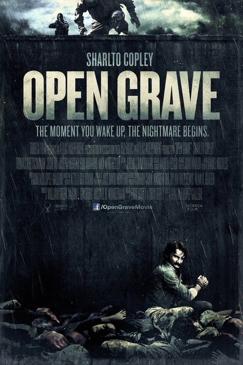 Open Grave 2013