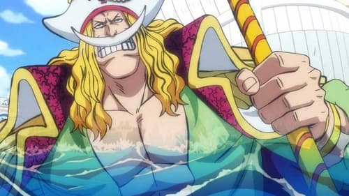 Poster della serie One Piece