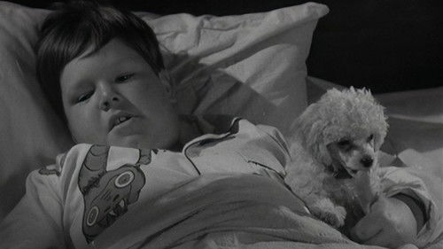 Morticia and the Psychiatrist