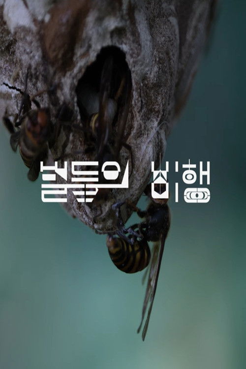 벌들의 비행 film afişi