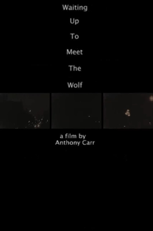 Waiting Up to Meet the Wolf