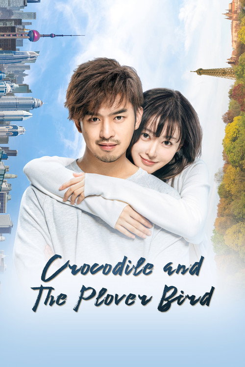 Crocodile and the Plover Bird