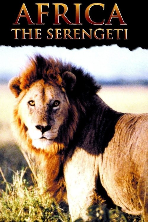Africa: The Serengeti movie poster player