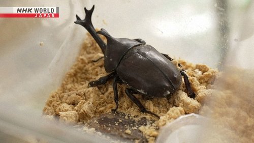 Image de l'épisode 20