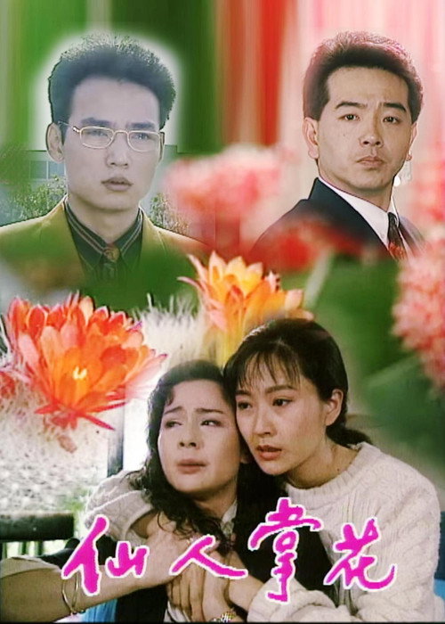 仙人掌花