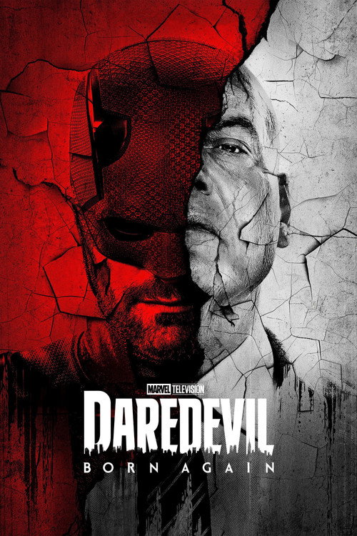 Daredevil vs. Spider-Man poster