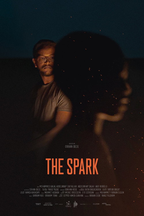 The Spark poster