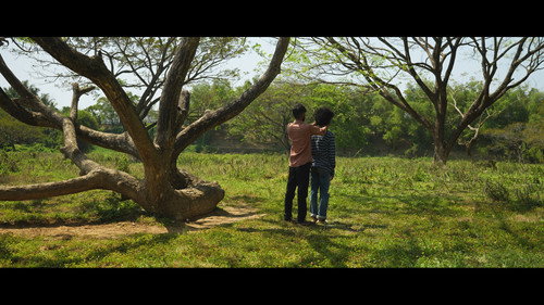 Everything is More Beautiful Because We're Doomed Backdrop Blur