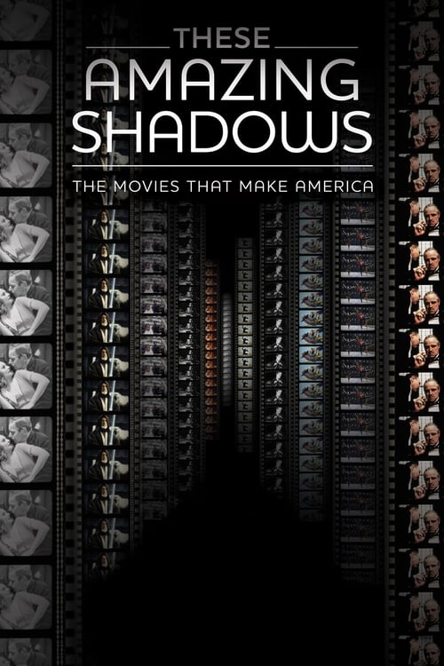 These Amazing Shadows (2011)