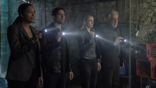 Mentes Criminosas: 17×9