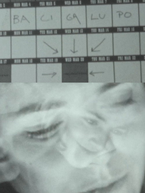 Lingue di luce – M. Bacigalupo racconta il suo cinema poster