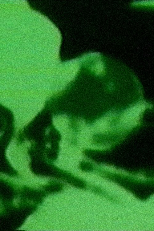 Orb movie poster player