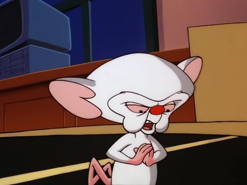 Poster della serie Pinky and the Brain