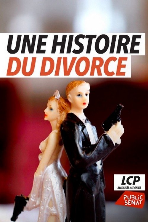 Une histoire du divorce (2025) poster