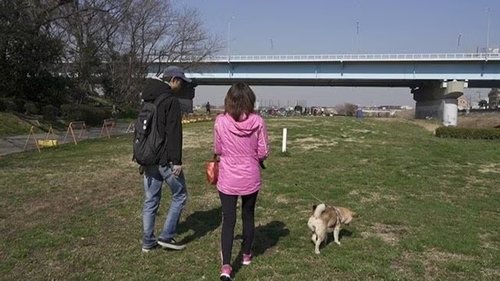 Épisode 11