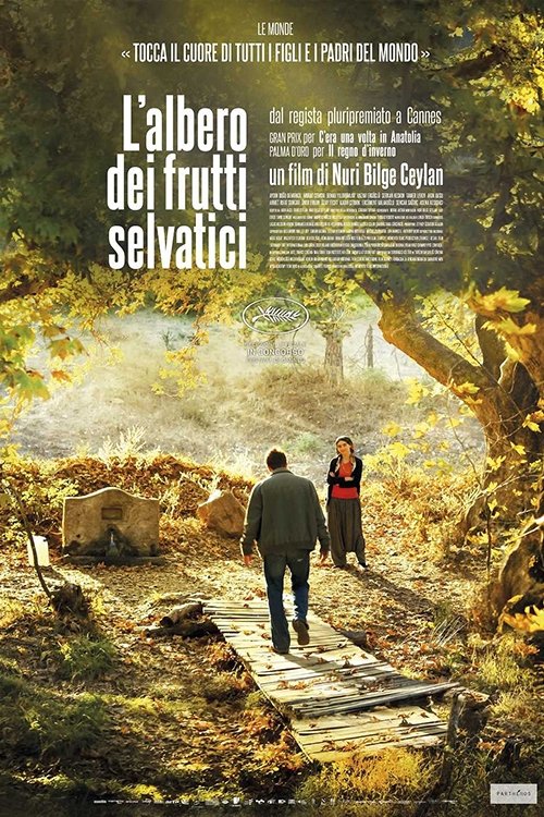 L'albero dei frutti selvatici 2018