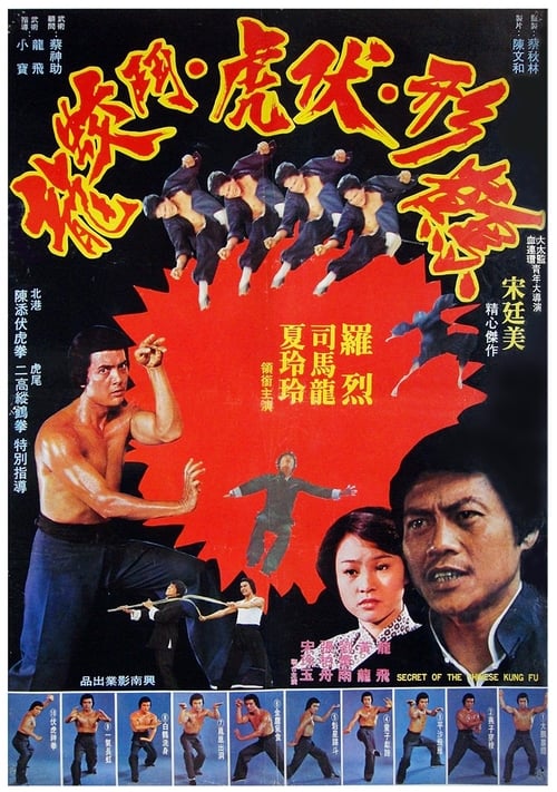 Secret of the Chinese Kung Fu 1977