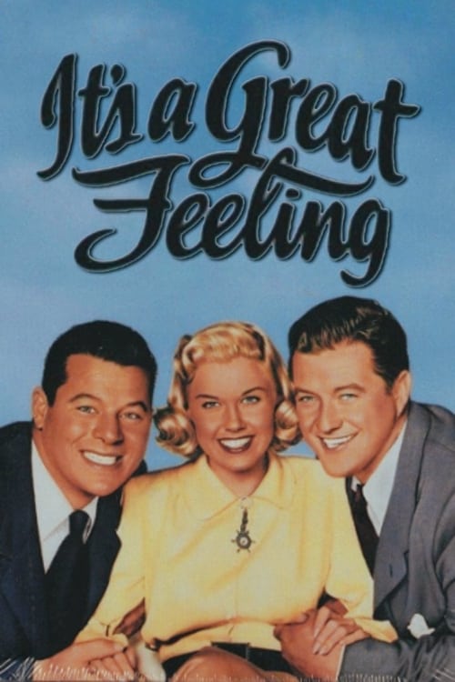 It's a Great Feeling (1949) poster