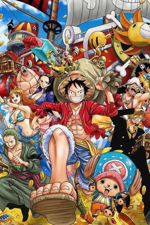 Pòster de One Piece - Col·lecció