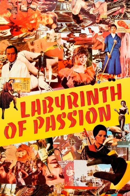 Poster Laberinto de pasiones 1982