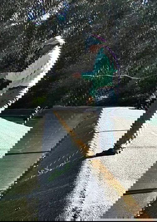 Fly Line