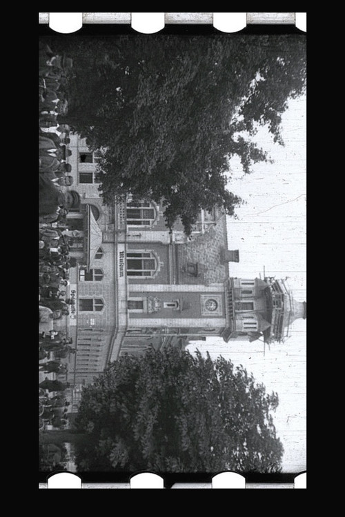 Wels in historischen Ansichten