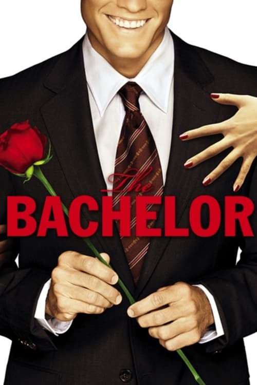 Where to stream The Bachelor Season 14