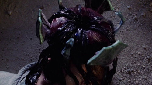 Image du film