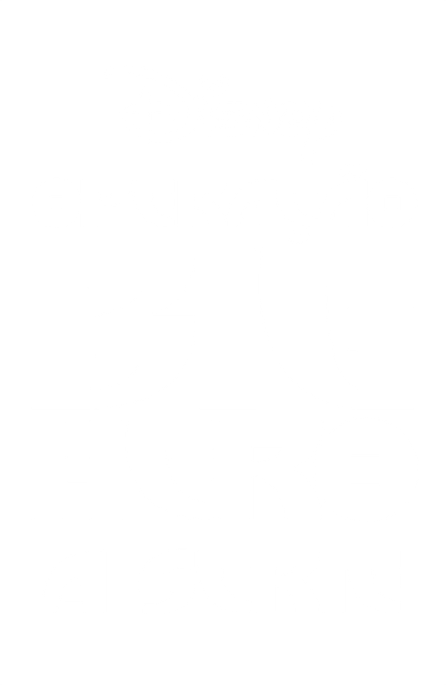 Operação Big Hero: A Série - Logo 3