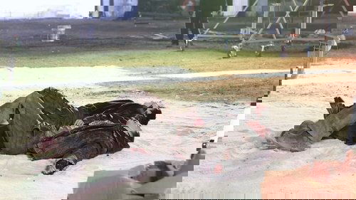Image de l'épisode 67