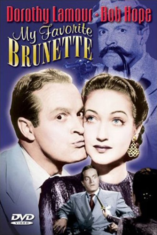 My Favorite Brunette poster