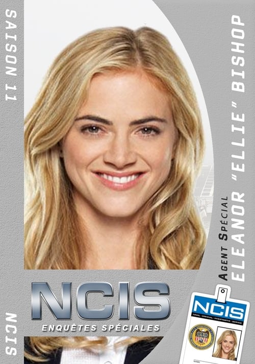 NCIS : Enquêtes spéciales, S11 - (2013)