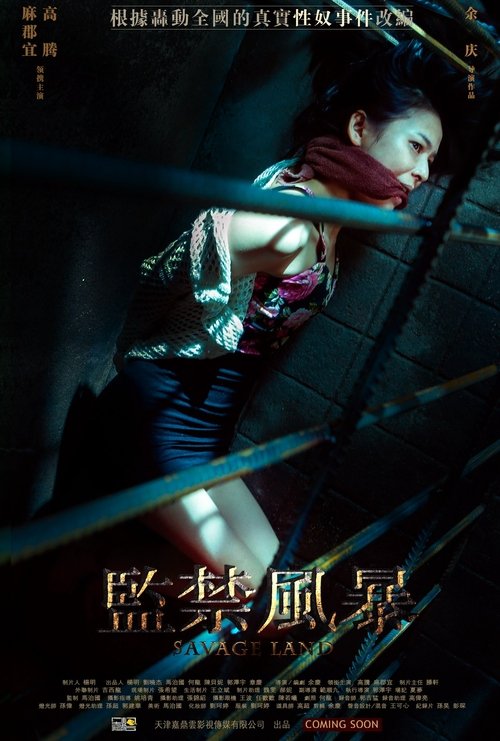 监禁风暴 movie poster player